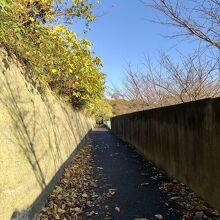 矢印に従って歩く