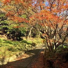 どんどん歩く　途中の紅葉がキレイ