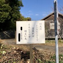 小学6年生が詠んだもの　地域毎の戦後教育の差を感じる