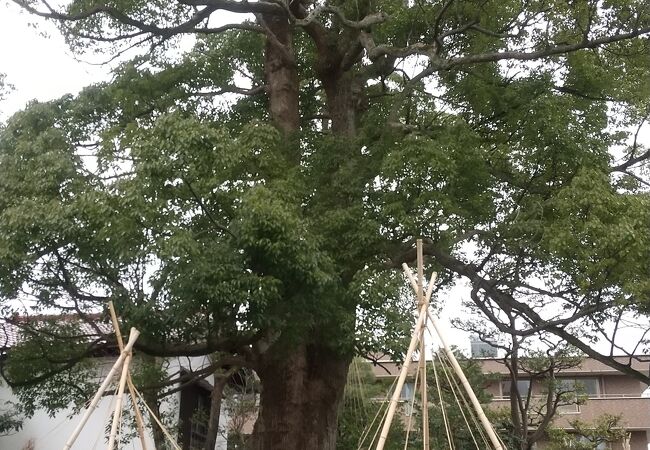 住宅街の中の風情ある公園