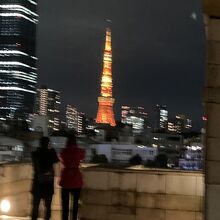 六本木ヒルズから見る東京タワー