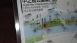 都会の中に有る自然です