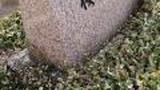 寒い日ですが、ベンチは人気でした