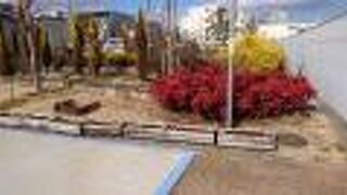 「環境モデルガーデン」が綺麗でした