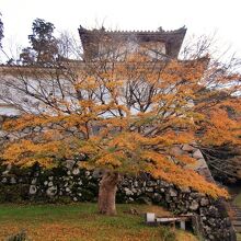 西隅櫓と紅葉