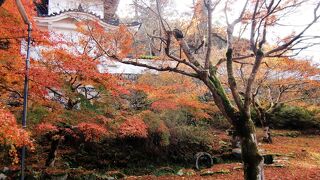 秋の深まる紅葉も見所です！　～　出石城跡