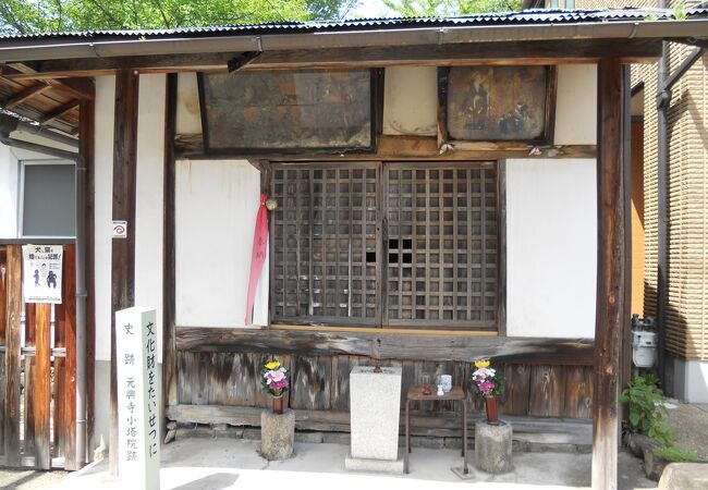 桜の時期がおすすめですが・・