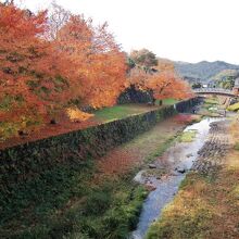 お濠と紅葉