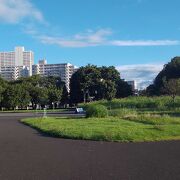 広大な公園