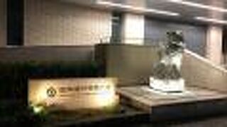 沖縄らしい建物！