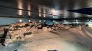 元寇防塁の跡と言われています