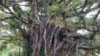 集落の中に普通にある