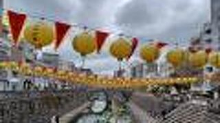 ライトアップ綺麗でした。