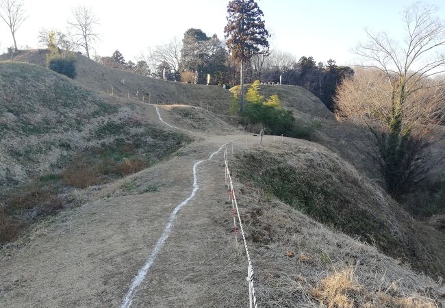 杉山城跡 戦国城郭の最高傑作？