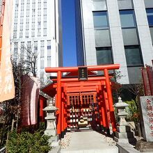 右奥が日本通運のビルのようでした