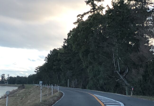 史跡油島千本松締切堤