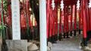 たくさんの鳥居