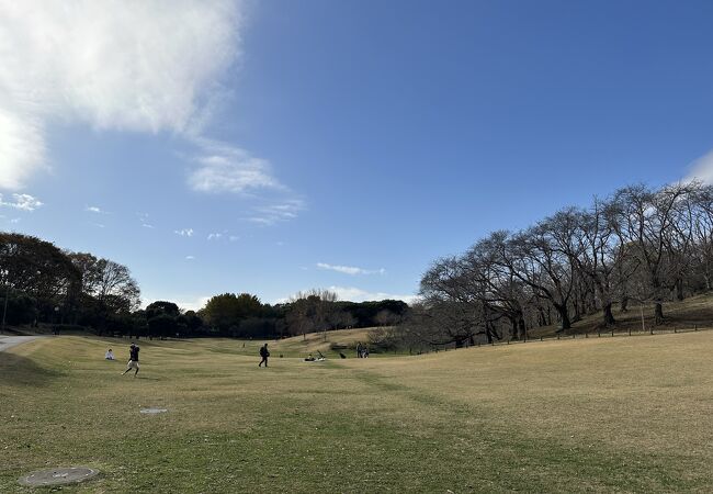 根岸森林公園