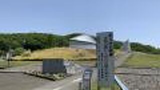 マンモスの骨格のレプリカが展示されていました