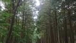 日光の歴史を感じられる街道