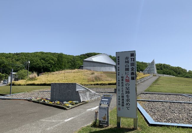 マンモスの骨格のレプリカが展示されていました