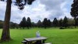 のーんびり休憩