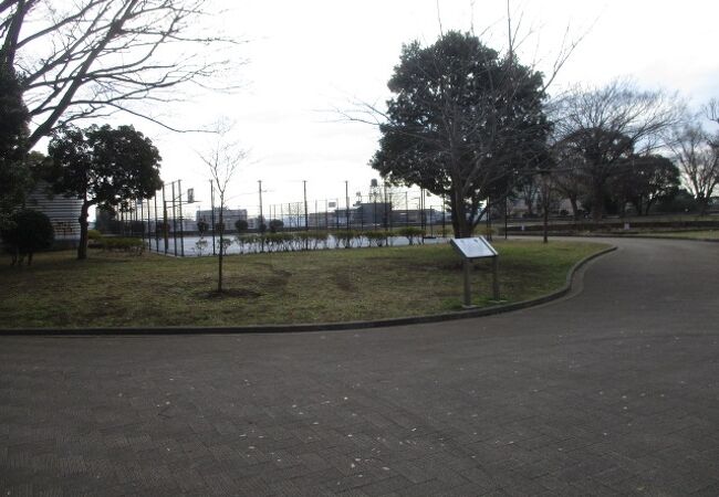 空気の美味しい公園です。