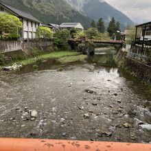 川にはお魚が