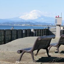 神奈川県立湘南海岸公園 (藤沢市)