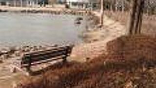 気持ち良く散策できました