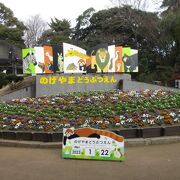 アットホームな動物園です。