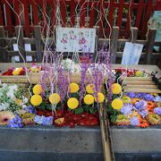 花手水が綺麗な上野の神社