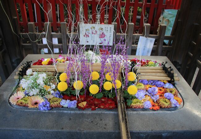 花手水が綺麗な上野の神社