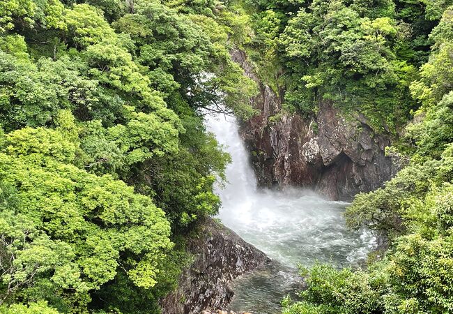 森の中から流れ落ちる落差30メートルと小さめだけど姿の美しい滝