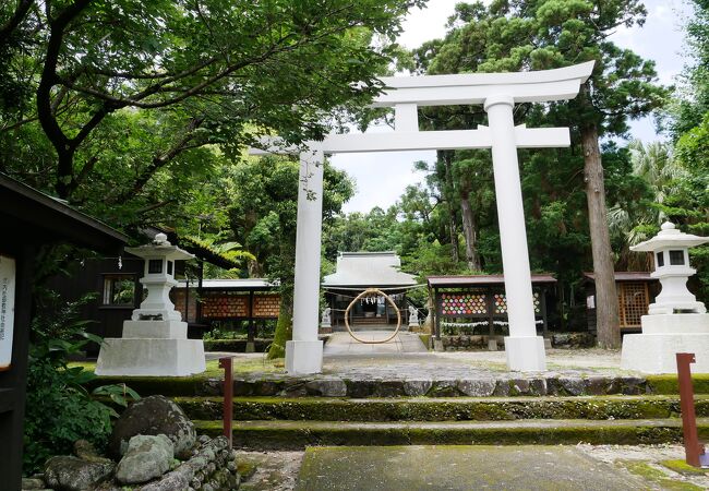 屋久島のパワースポット