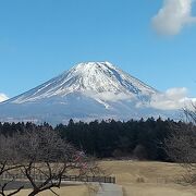 道の駅に来たら展望台からの富士山も必見