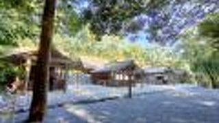 月読さまは凛と佇んでました。