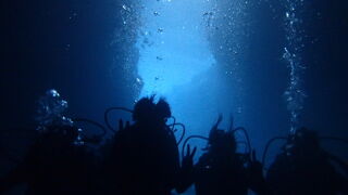 写真は確かに青かった