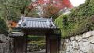 リフレクションを楽しむ庭園