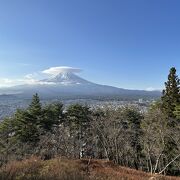 五重塔越しの富士山の眺め