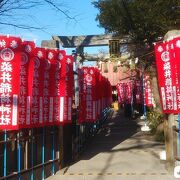 ソメイヨシノ発祥の地にある神社