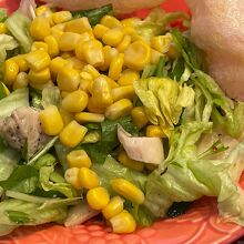 鶏肉とパクチーのサラダが美味しかったです。