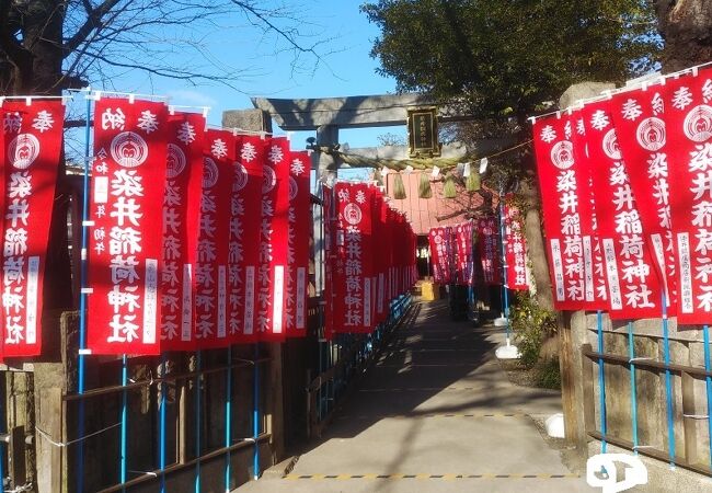 ソメイヨシノ発祥の地にある神社