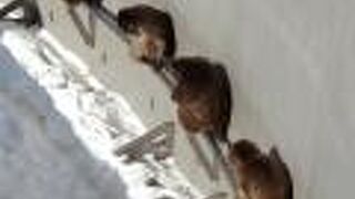 年功序列が見られる・・・かも