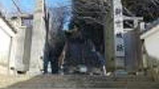 新宮駅近くの雰囲気の良い城跡