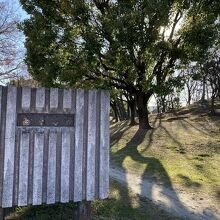 小さな丘や森もあり、散歩には良い環境