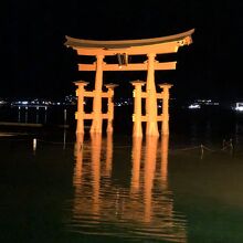 鳥居がまるごと海に映って綺麗　逆さ富士みたいな感覚