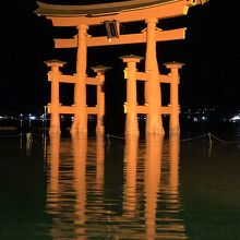 アップで　迫力あるけど鳥居全体が海に映りきれていません