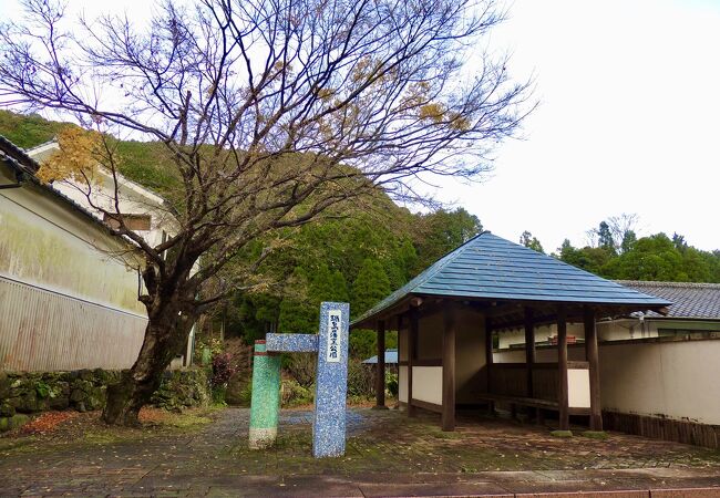 紅葉が綺麗だった