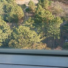 豊橋市役所展望ロビーより眺めた豊橋公園